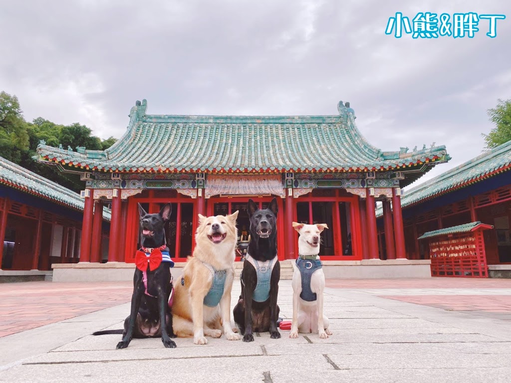 太陽慢慢走 Red Letter Day 台南寵物友善民宿