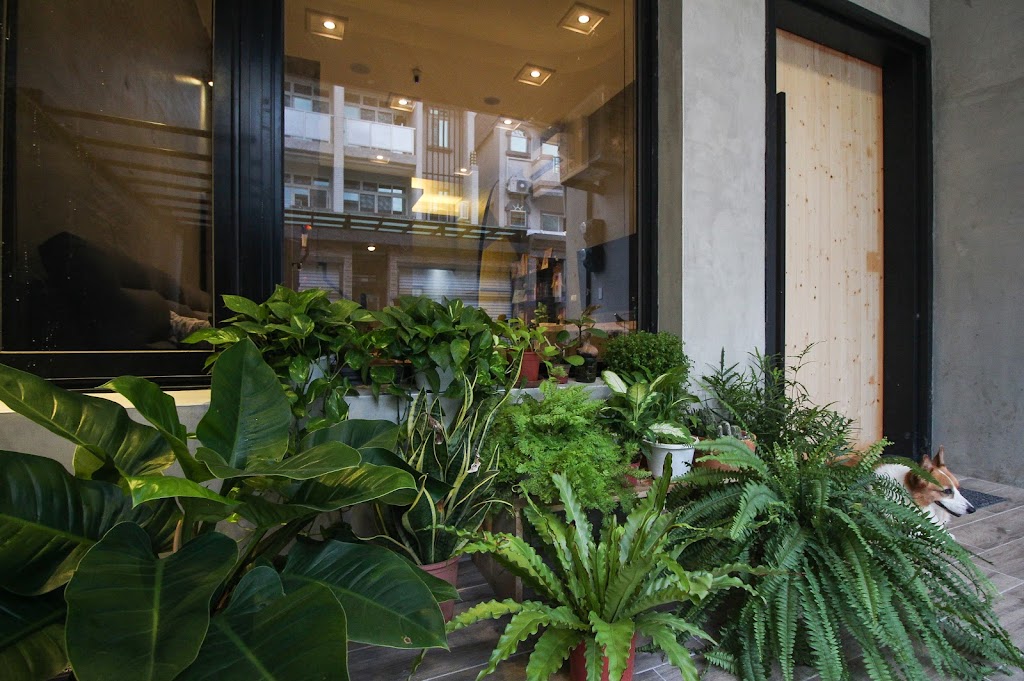 好海子背包旅宿 Good Wave Hostel