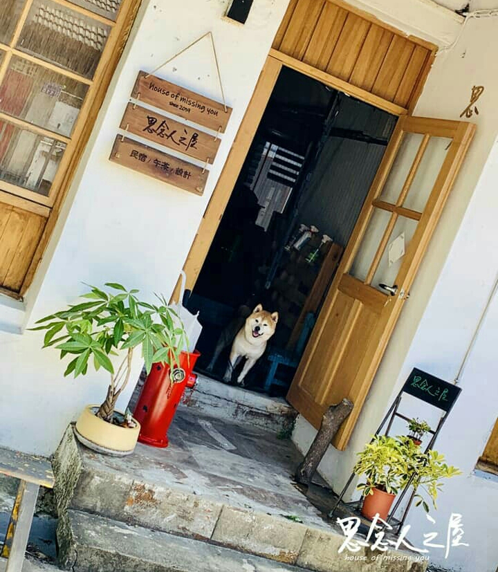 思念人之屋_眷村民宿