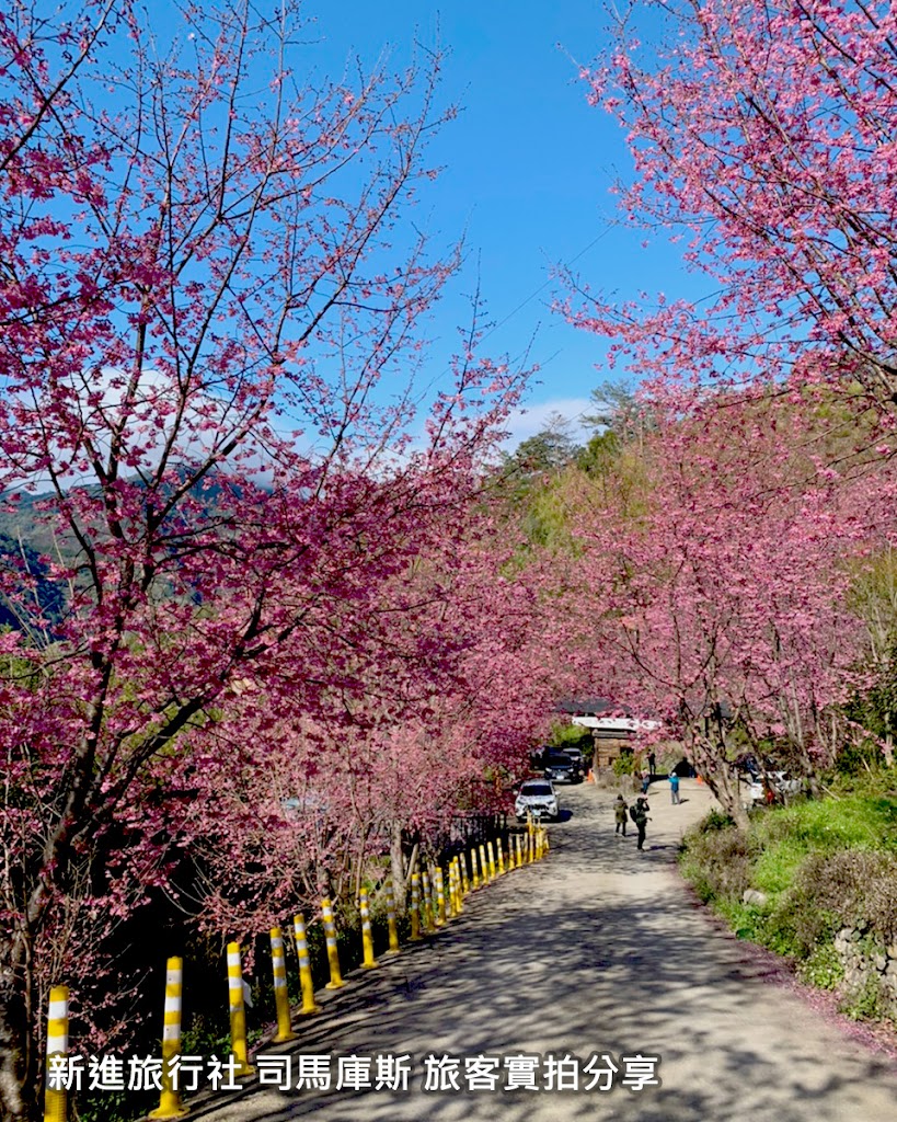 新進旅行社高雄分公司 新進旅行社高雄分公司