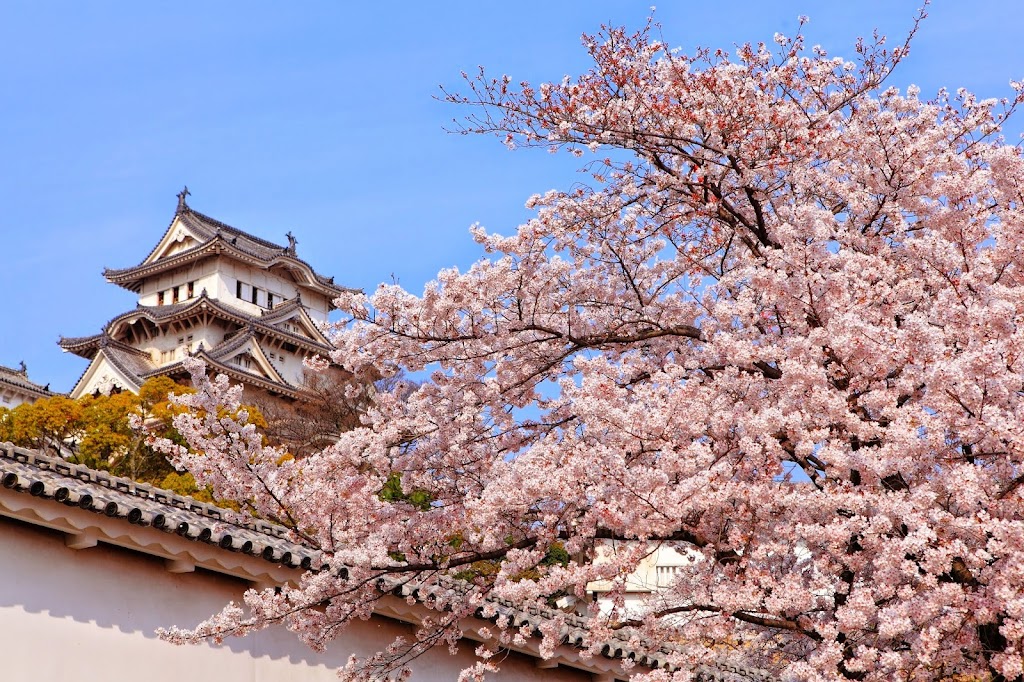 欣日華旅行社