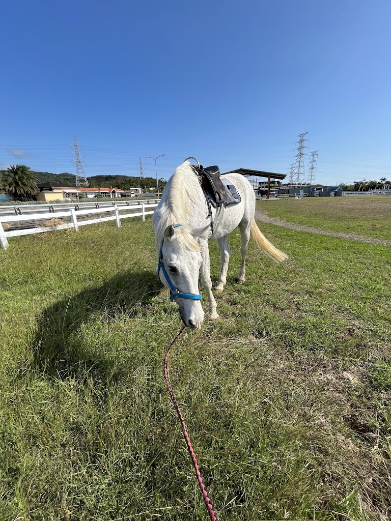 維多利亞馬場