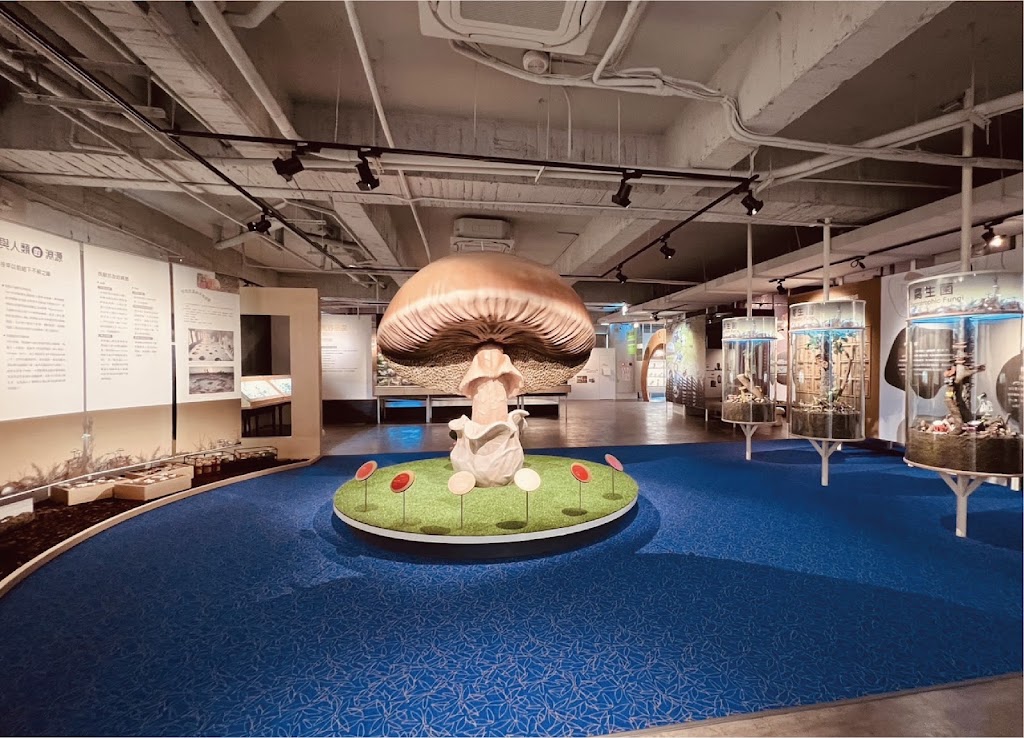 霧峰菇類產學館 Wufeng Mushroom Museum 霧峰菇類產學館 Wufeng Mushroom Museum