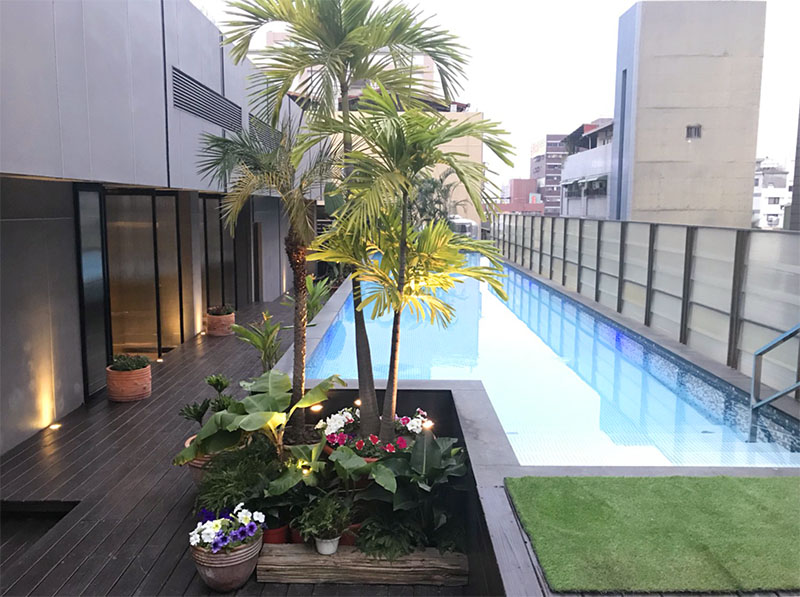 The tree house 樹屋旅店 The tree house 樹屋旅店